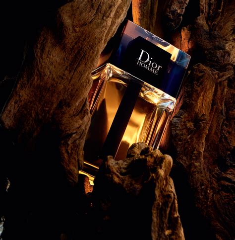 dior season 2020|Dior cologne 2020.